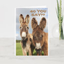 Search for funny donkey cards Adult