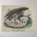 Search for eagle posters Social justice