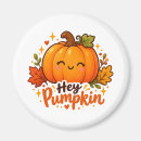 Search for pumpkin magnets Skull