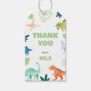 Search for dinosaur favor tags Jurassic birthday