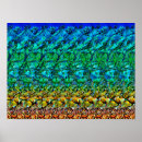 Search for stereogram posters Illusion