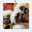 Search for monkey ornaments Animals