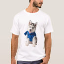 Search for siberian husky tshirts Blue eyes