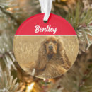 Search for cocker spaniel dog ornaments Animals