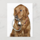 Search for golden retriever get well cards Veterinarian