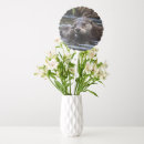 Search for otter balloons Animal