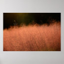 Search for 36x24 posters Autumn