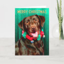 Search for labrador retriever christmas cards Puppy