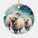 Search for sheep ornaments Snow