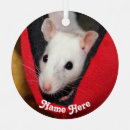 Search for rat ornaments Rodent