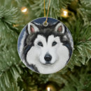 Search for alaskan malamute ornaments Husky