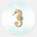 Search for sand dollar stickers Sea