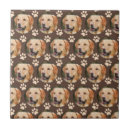 Search for pet photo tiles Animal