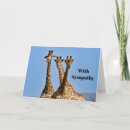Search for giraffe cards Africa