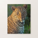 Search for adult coloring puzzles Animal