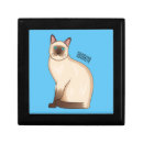 Search for flame point siamese cat Pet