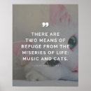 Search for inspirational cat posters Kitten