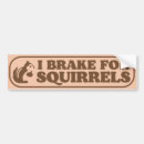 Search for i brake for squirrels bumper stickers Cars