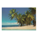 Search for beach wood wall art palm trees