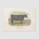 Search for cow print tissue paper Decoupage