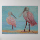 Search for roseate spoonbill posters Birds