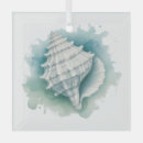 Search for seashell ornaments Nautical