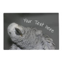 Search for bird placemats Animal