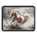 Search for horse trailer hitch covers Pinto