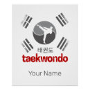 Search for karate posters Tkd