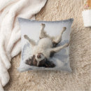 Search for english springer spaniel gifts Fun