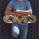 Search for cat skateboards Kawaii