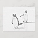 Search for adult coloring postcards Stress relief
