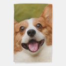 Search for dogs outdoor signs Pets