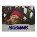 Search for dachshund calendars Dog