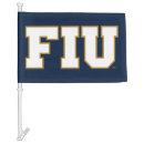 Search for car flags College