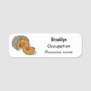 Search for pumpkin name tags Vegetable