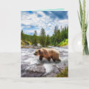 Search for alaska birthday cards Photography