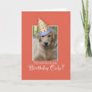 Search for golden retriever birthday cards Celebration