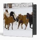 Search for horse photo binders Usa