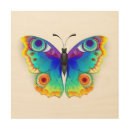 Search for peacock art Butterfly