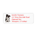 Search for border collie return address labels Puppy