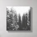 Search for black and white tree canvas prints Forest