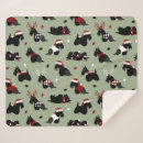 Search for scottie dog blankets Pets
