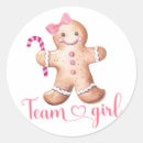 Search for he or she gender reveal crafts party Team girl