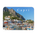 Search for naples magnets Travel