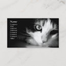 Search for black cat business cards Cute