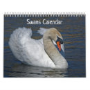 Search for swans swan calendars Black