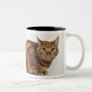 Search for orange tabby cat mugs Feline