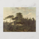 Search for lebanon postcards Cedar