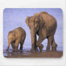 Search for national park mousepads Fauna